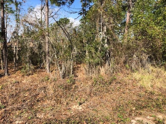 Hemlock Trail, Ocala, FL 34472