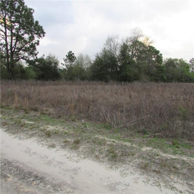 151 Ave., Ocala, FL 34481