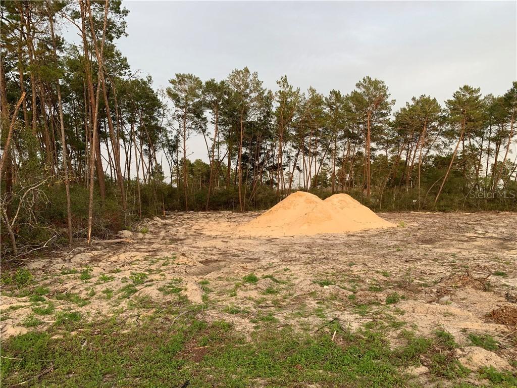 SW 43 Ct., Ocala, FL 34479