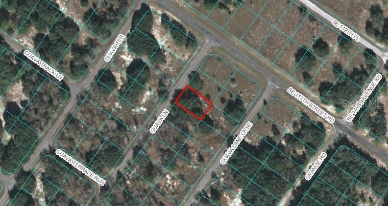 00 Guava Ln., Ocklawaha, FL 32179