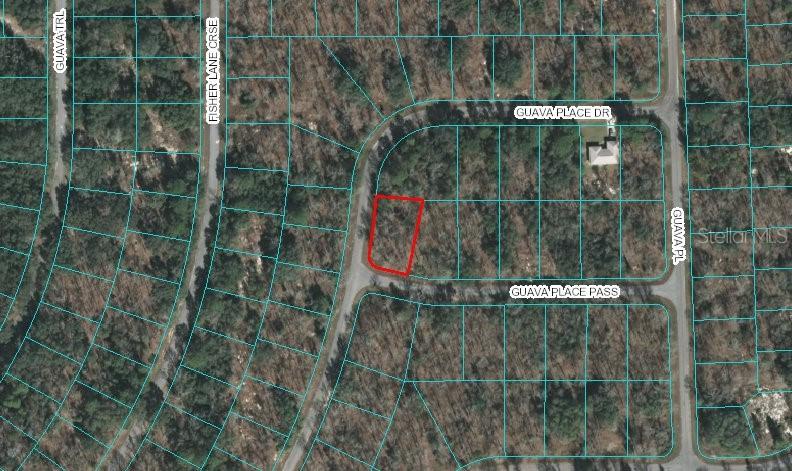 00 Guava Place Pass, Ocklawaha, FL 32179