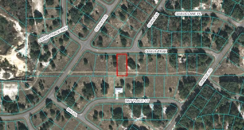 00 Guava Track, Ocklawaha, FL 32179