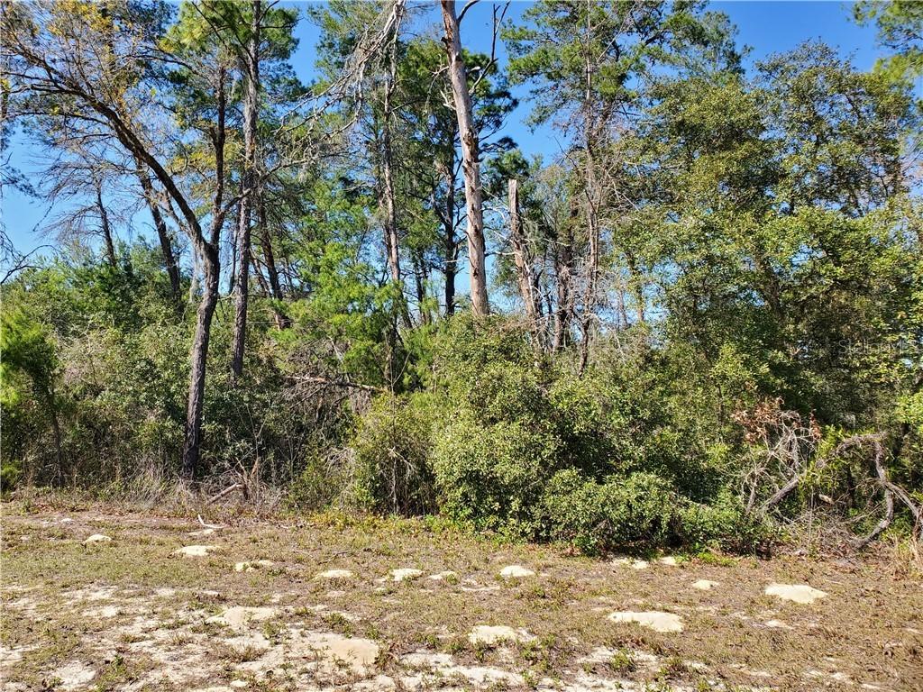 TBD SW Marion Oaks Ln., Ocala, FL 34473
