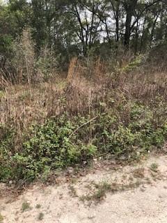 SE 136th Pl., Belleview, FL 34420