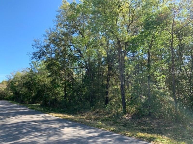 TBD NE 155th Ct., Williston, FL 32696