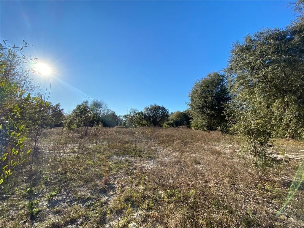 22521 Sorrento Ave., Sorrento, FL 32776