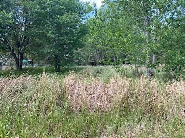 Pine Trace Radial, Ocala, FL 34472