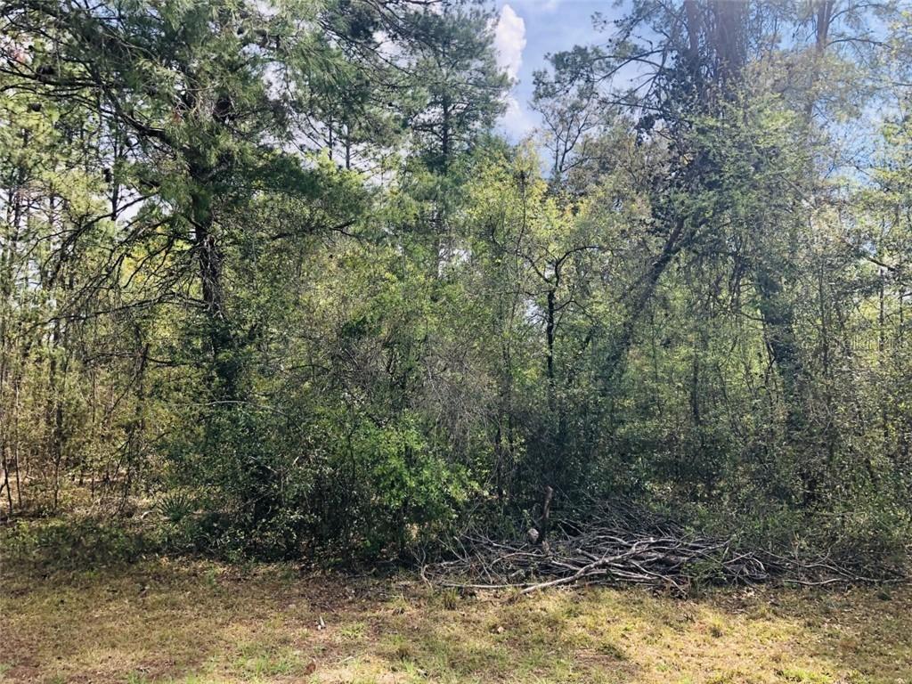 SW 82 Ave., Ocala, FL 34473