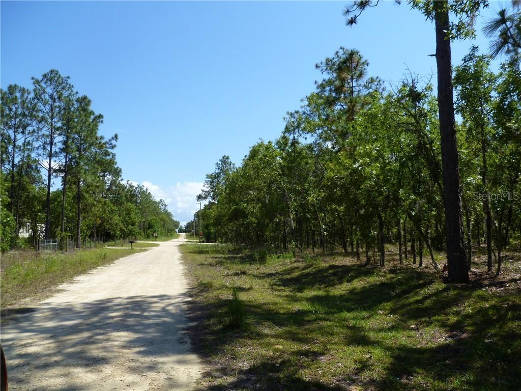 250 NE 137th Ave., Williston, FL 32696