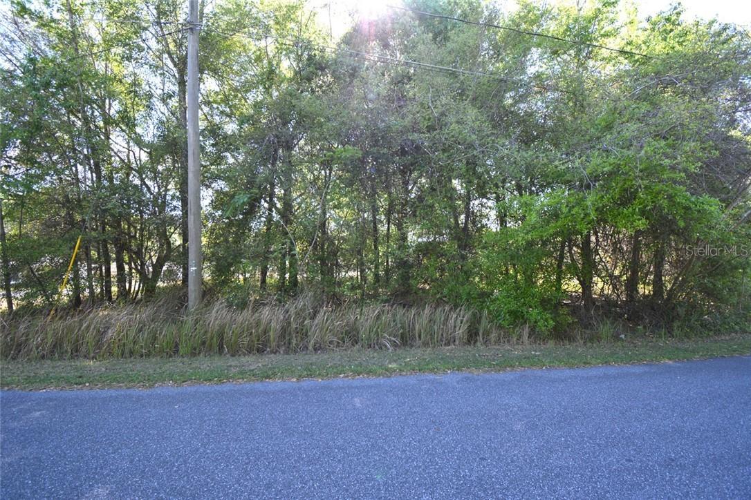 Pecan Rd., Ocala, FL 34472