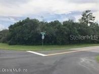 SW 162 Loop, Ocala, FL 34473