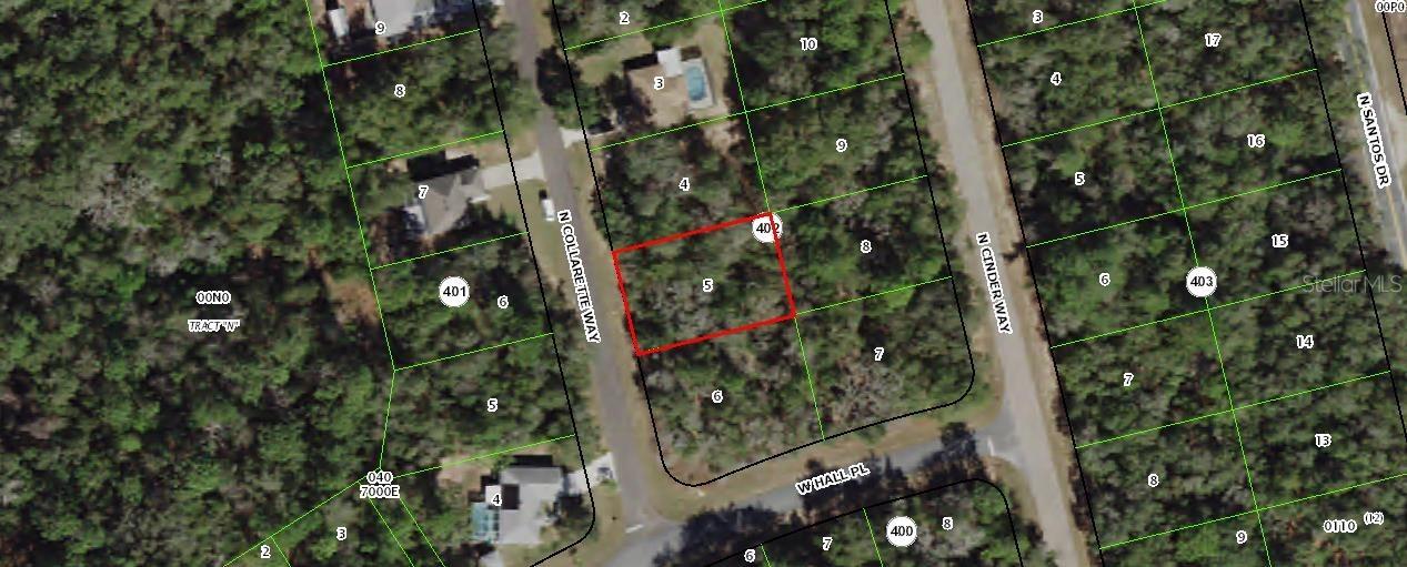 8655 N Collarette Way, Citrus Springs, FL 34434