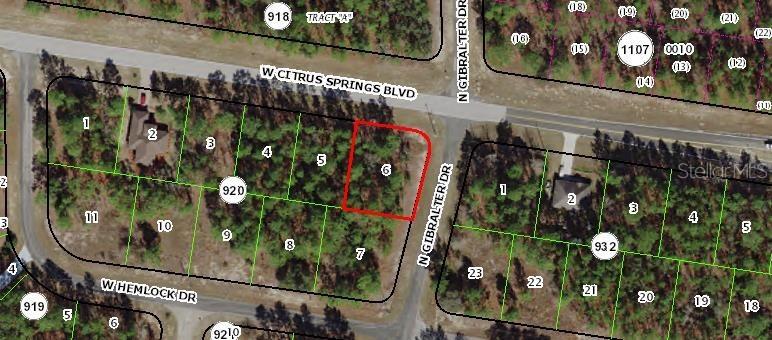 7348 N Gibralter Dr., Citrus Springs, FL 34434