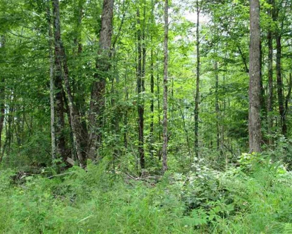 00 Oak Lane Loop, Ocala, FL 34472