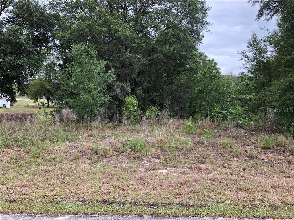 SE Locust Ps Pass, Ocala, FL 34472