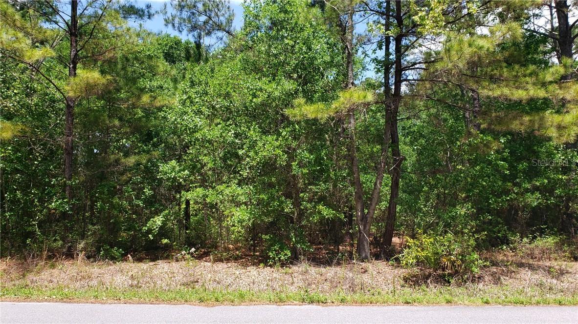 000 Oak Lane Way, Ocala, FL 34472