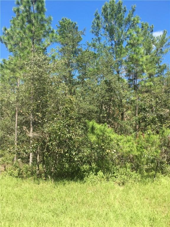 SW 43rd Court Rd., Ocala, FL 34473