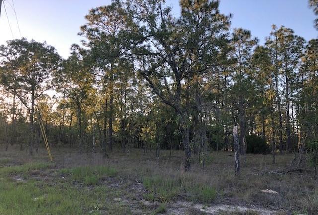 TBD NE 7th Pl., Williston, FL 32696