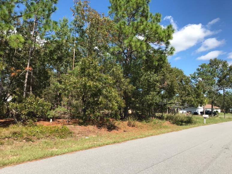 10 Pecan Run Radial, Ocala, FL 34472