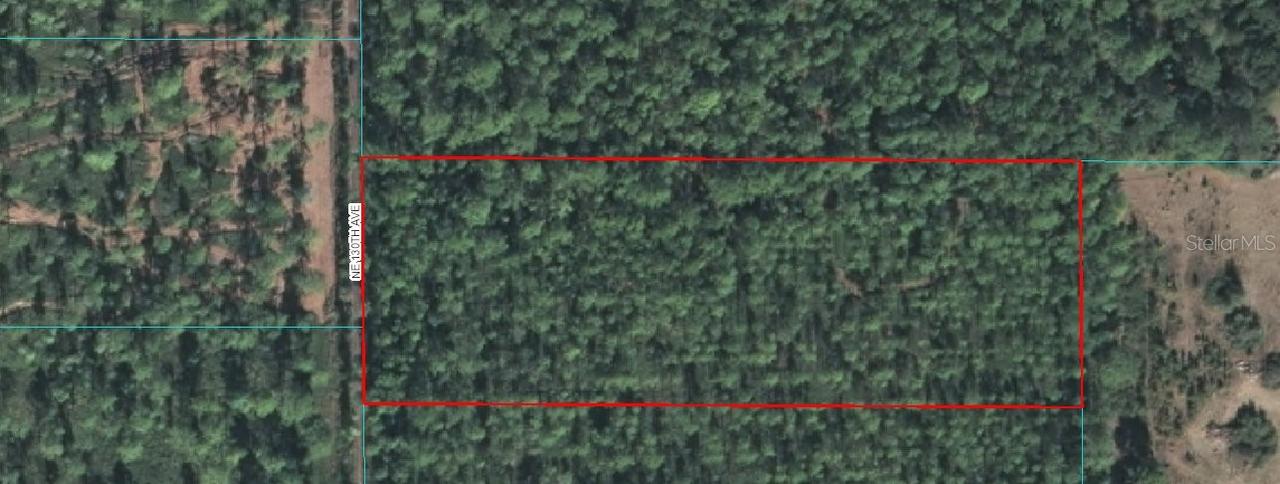 Tract 1 NE 130th Ave., Fort Mc Coy, FL 32134