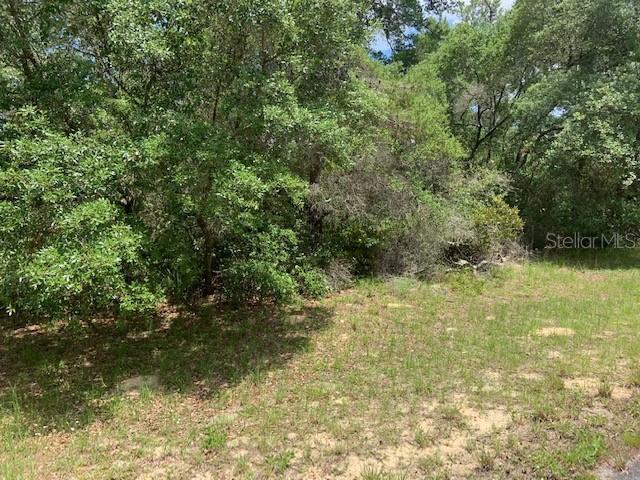 TBD Oak Lane Pl., Ocala, FL 34476
