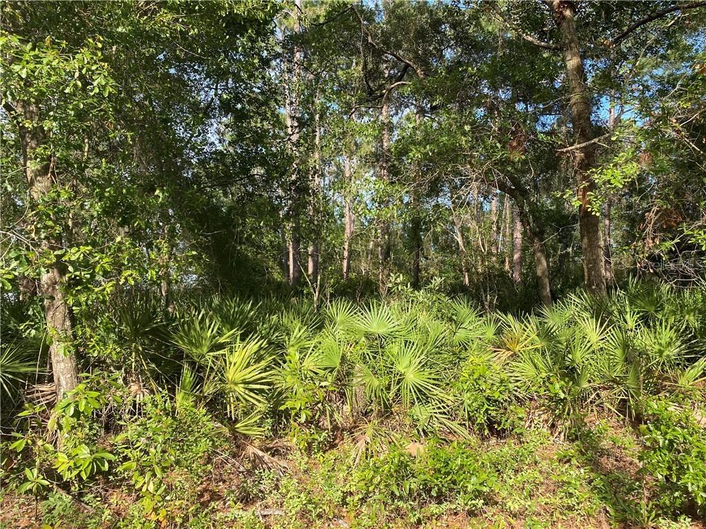 NE 114th Ave., Fort Mc Coy, FL 32134