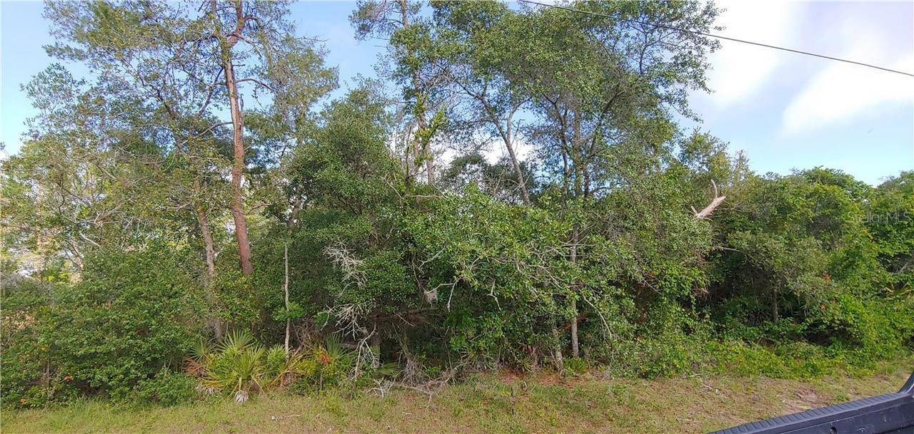 TBD SW 48 Ave., Ocala, FL 34473