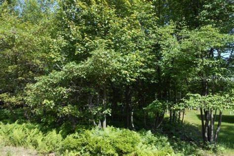 [Address Hidden by Seller], Ocala, FL 34481