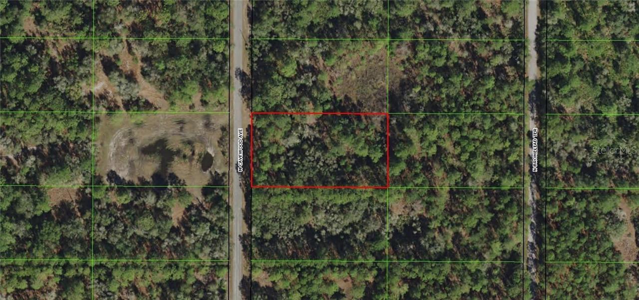 9317 N Cavewood Ave., Crystal River, FL 34428