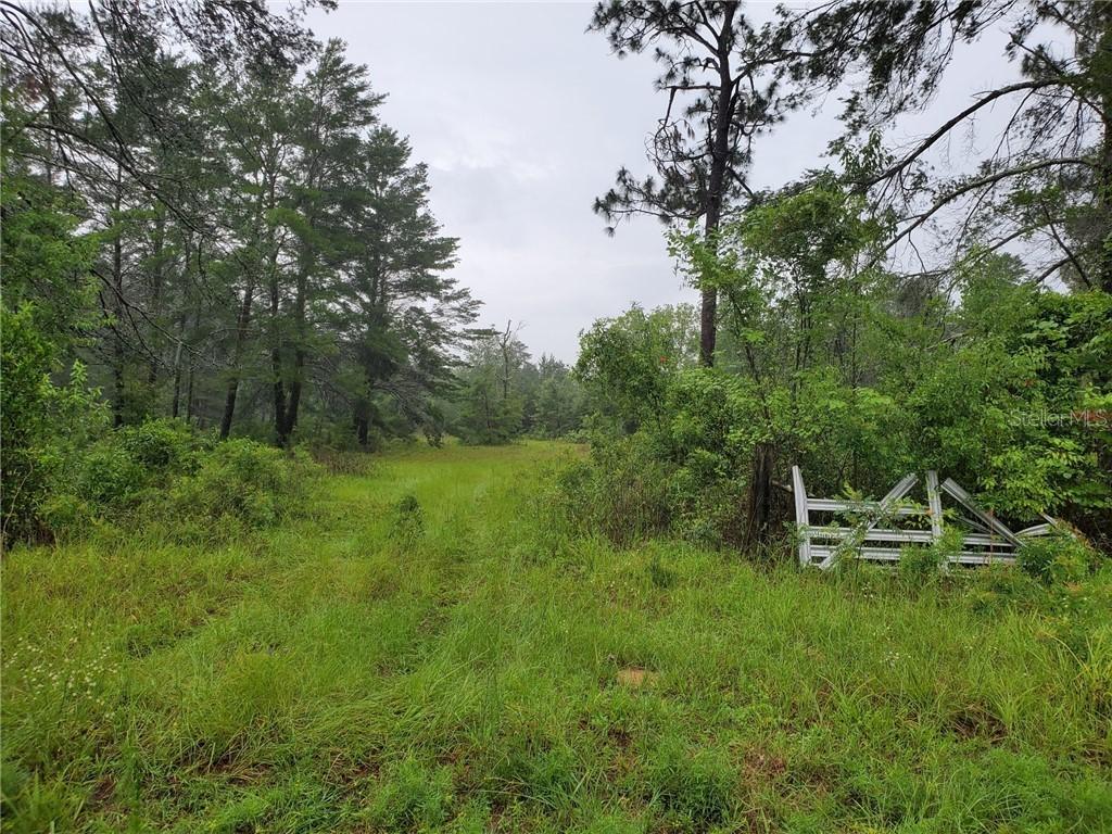 TBD NE 40th Ln., Williston, FL 32696