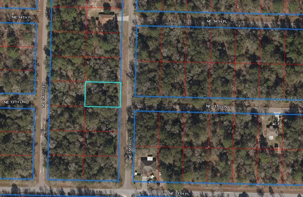 TBD NE 155th Ct., Williston, FL 32696