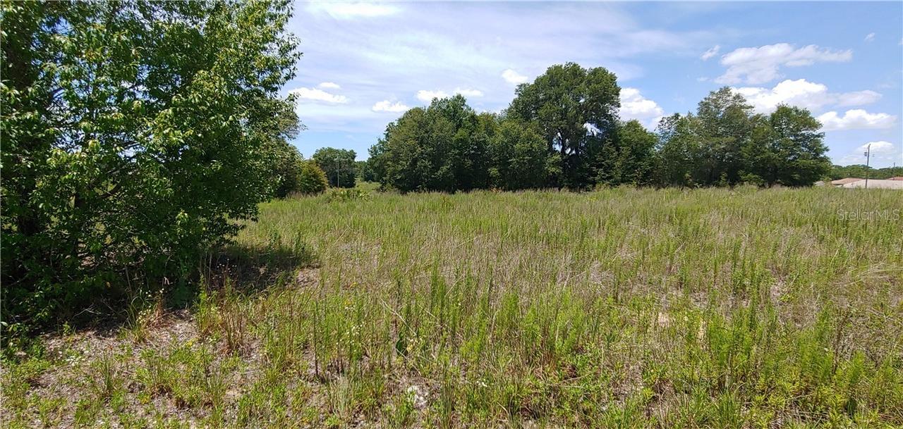 TBD SW 149 Ter., Ocala, FL 34481