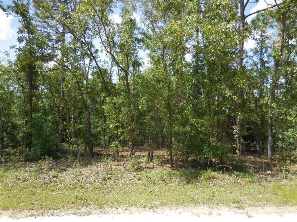 750 NE 139th Ave., Williston, FL 32696