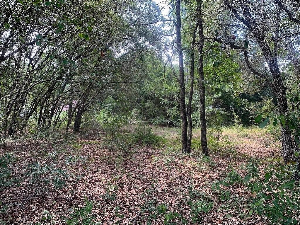 TBD Marion Oaks Tr., Ocala, FL 34473