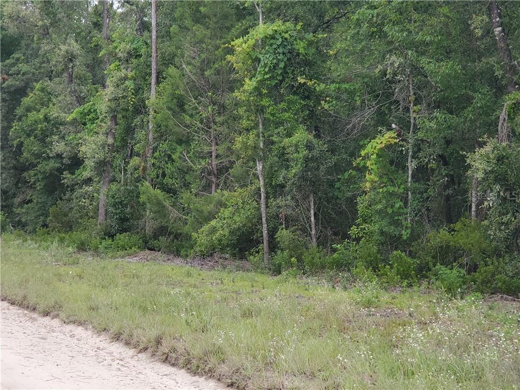 NE 9th St. #Lot 10, Williston, FL 32696