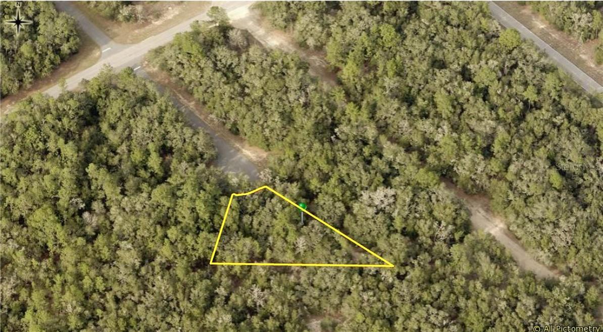 11095 N Edith Point, Citrus Springs, FL 34434