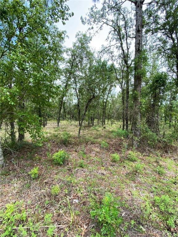TBD SW 166th Terrace Rd., Ocala, FL 34481
