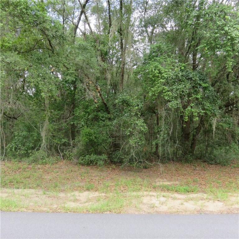 Sw 130th Pl., Ocala, FL 34473