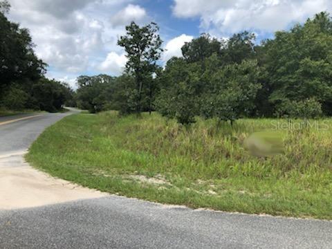 SE Locust Ps Dr., Ocala, FL 34472