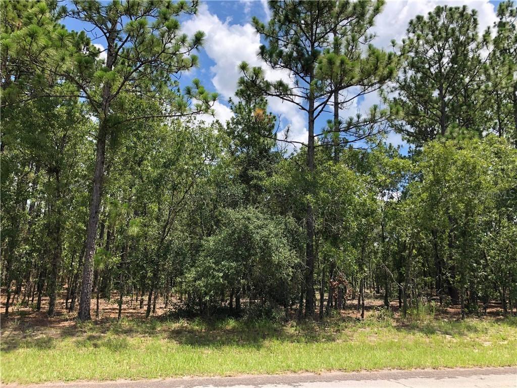 Sw 135th St Rd, Ocala, FL 34473