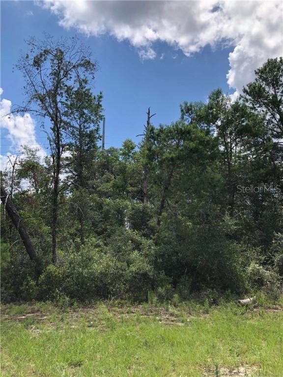 SW 140 Loop, Ocala, FL 34473