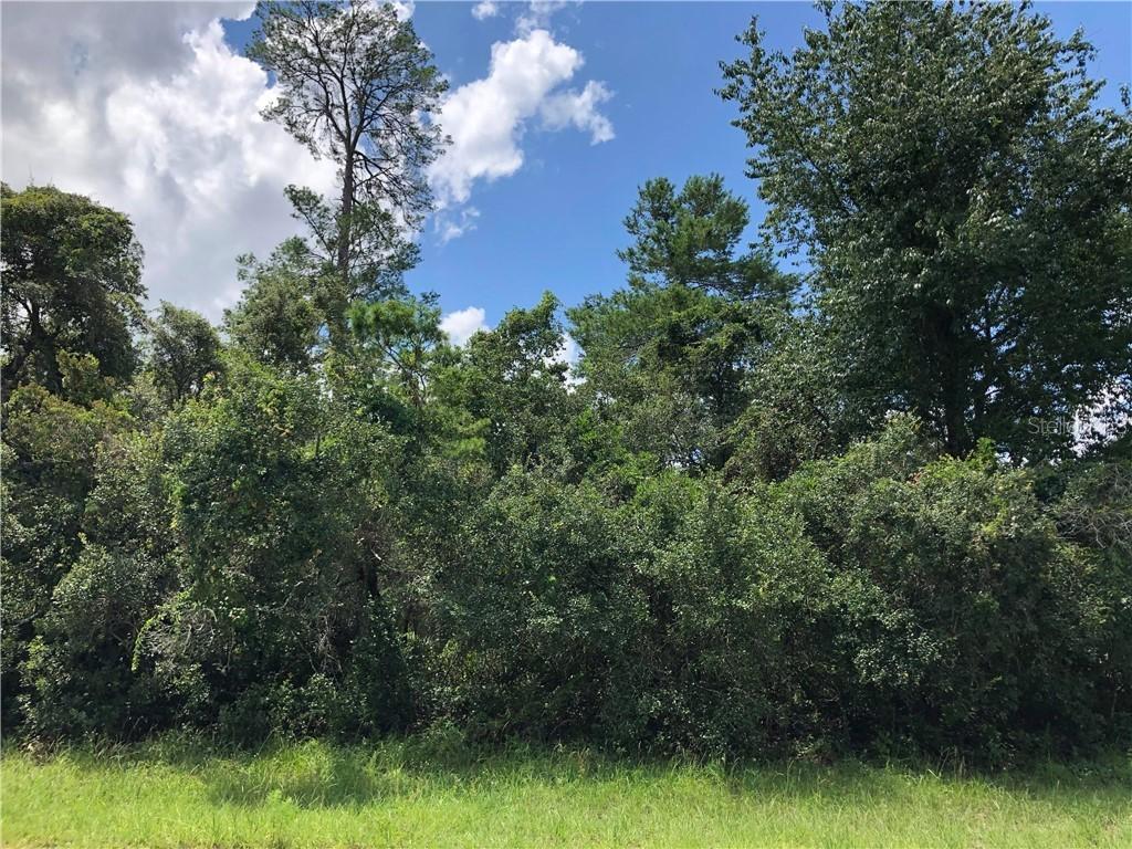 SW 144 Pl., Ocala, FL 34473