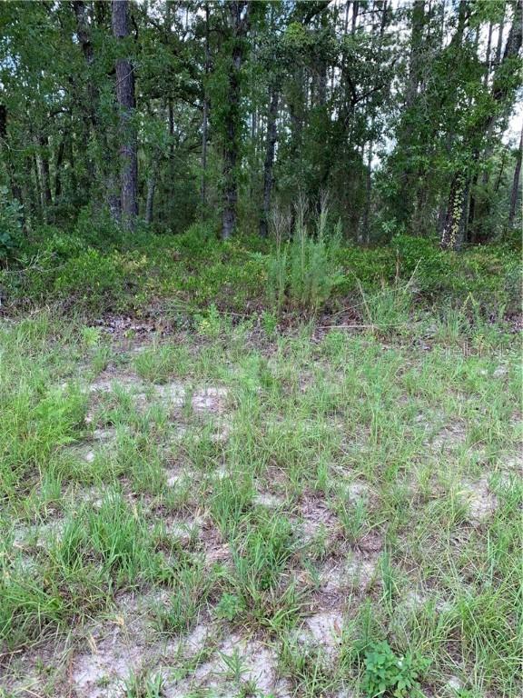 SW 70 Ct, Ocala, FL 34473
