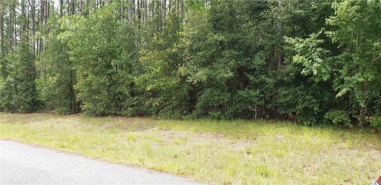 Lot 8 SE 60th Ln., Morriston, FL 32668