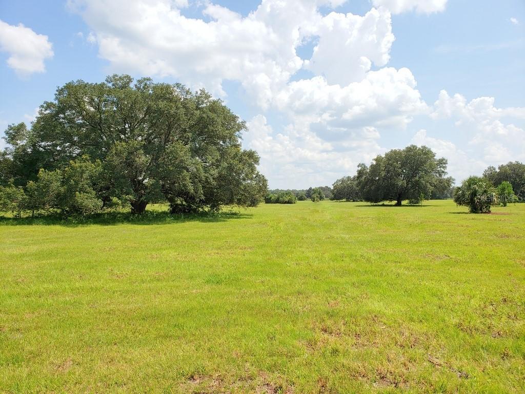 Lot 5 (10ac) NE Highway 315 Hwy., Orange Springs, FL 32182