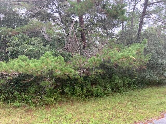 TBD SW 40th Ter., Ocala, FL 34473