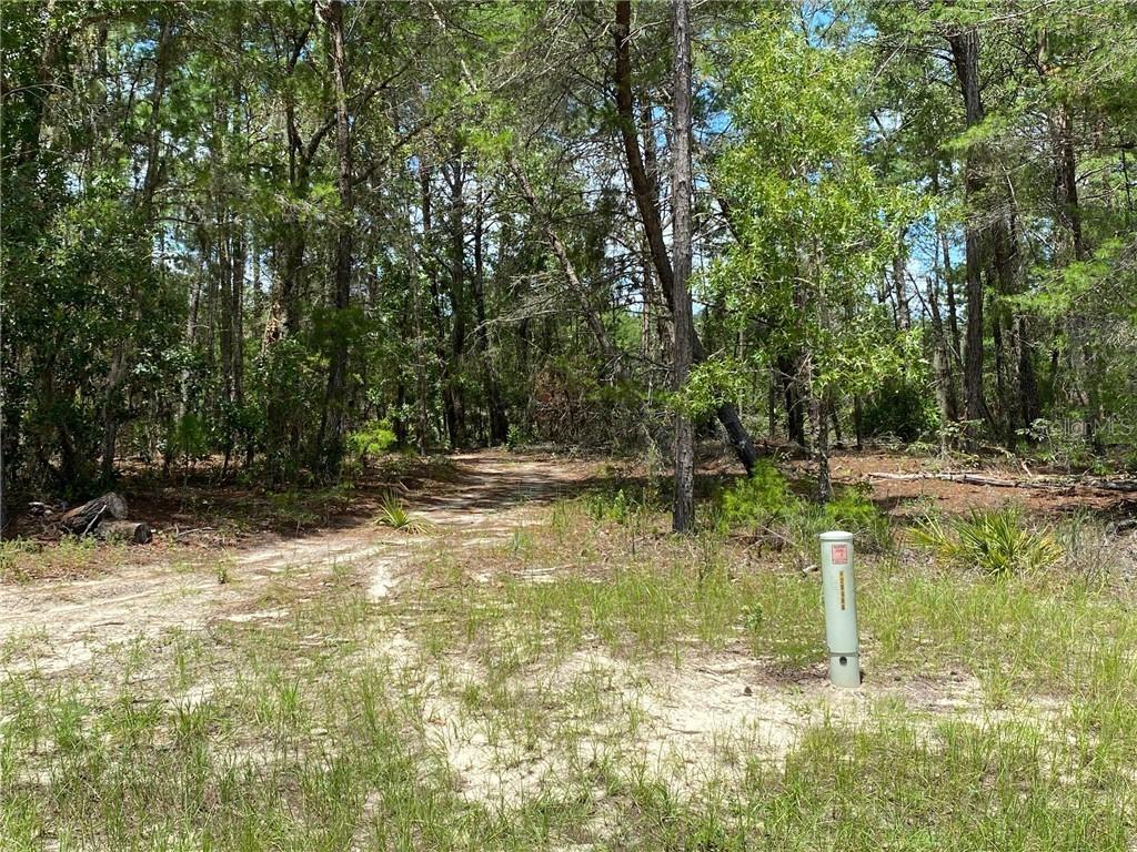 [Address Hidden by Seller], Ocala, FL 34481