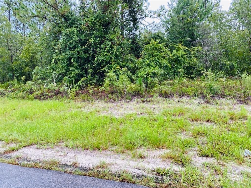 [Address Hidden by Seller], Ocala, FL 34481