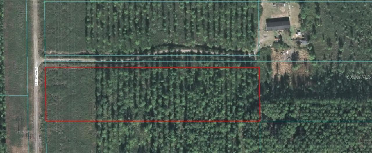 TRACT 24 NE 125 Ave., Fort Mc Coy, FL 32134