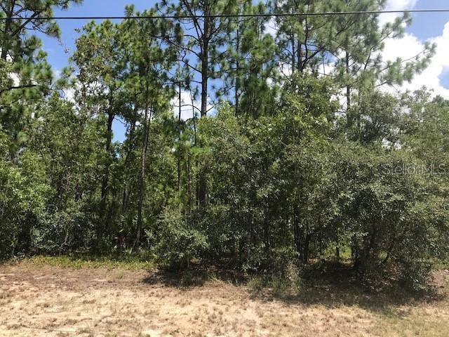 0 Sw 134th St, Ocala, FL 34473